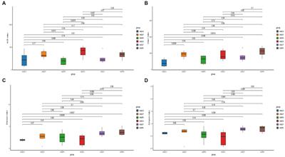 Utilisation of Lactiplantibacillus plantarum and propionic acid to improve silage quality of amaranth before and after wilting: fermentation quality, microbial communities, and their metabolic pathway